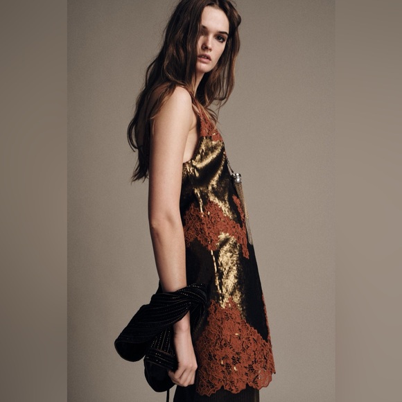 ZARA ZW COLLECTION LIMITED EDITION LACE SEQUIN DRESS - Picture 11 of 14